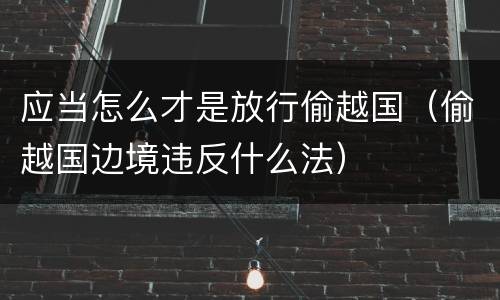 应当怎么才是放行偷越国（偷越国边境违反什么法）