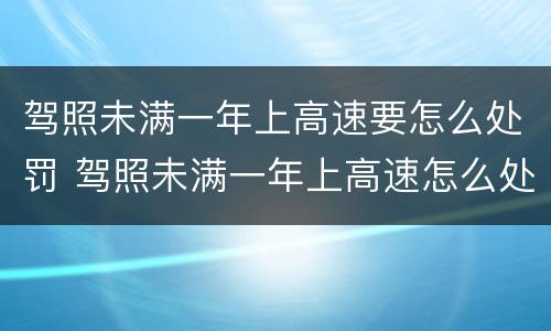 驾照未满一年上高速要怎么处罚 驾照未满一年上高速怎么处罚2021