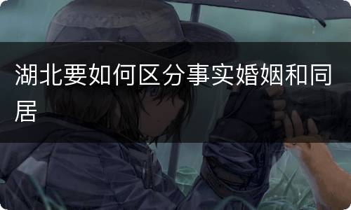 湖北要如何区分事实婚姻和同居