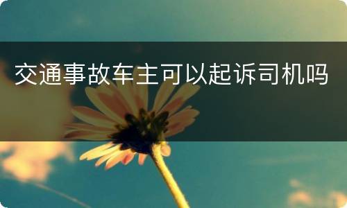 交通事故车主可以起诉司机吗