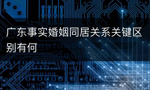 广东事实婚姻同居关系关键区别有何