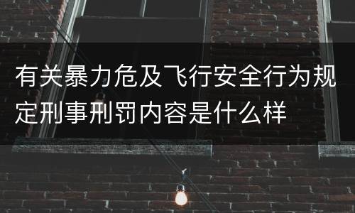 有关暴力危及飞行安全行为规定刑事刑罚内容是什么样