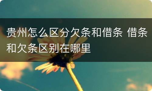 贵州怎么区分欠条和借条 借条和欠条区别在哪里