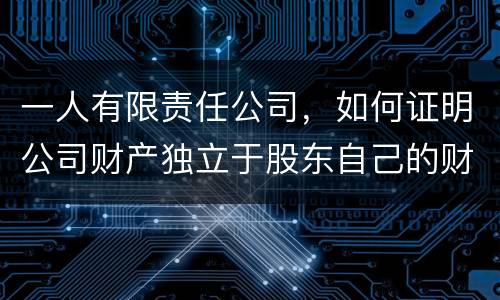 一人有限责任公司，如何证明公司财产独立于股东自己的财产