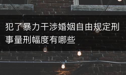 犯了暴力干涉婚姻自由规定刑事量刑幅度有哪些