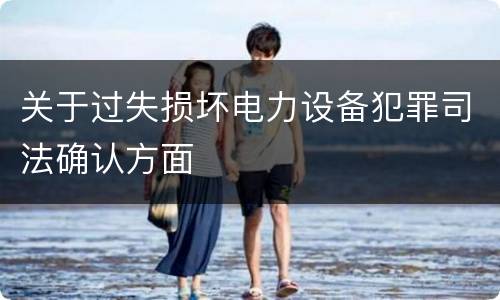 关于过失损坏电力设备犯罪司法确认方面