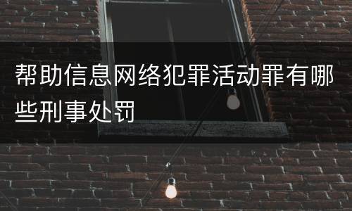 帮助信息网络犯罪活动罪有哪些刑事处罚