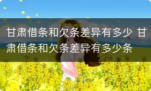甘肃借条和欠条差异有多少 甘肃借条和欠条差异有多少条