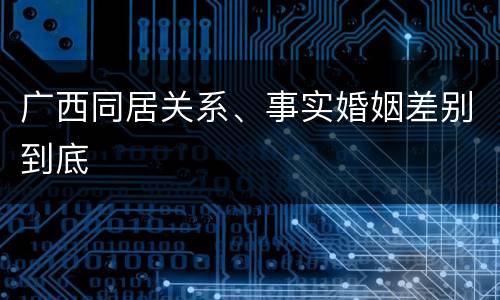 广西同居关系、事实婚姻差别到底