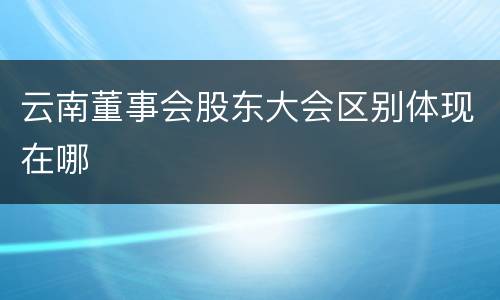 云南董事会股东大会区别体现在哪