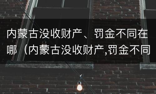 内蒙古没收财产、罚金不同在哪（内蒙古没收财产,罚金不同在哪缴纳）
