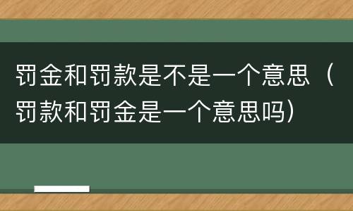 罚金和罚款是不是一个意思（罚款和罚金是一个意思吗）