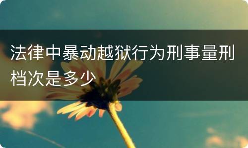 法律中暴动越狱行为刑事量刑档次是多少