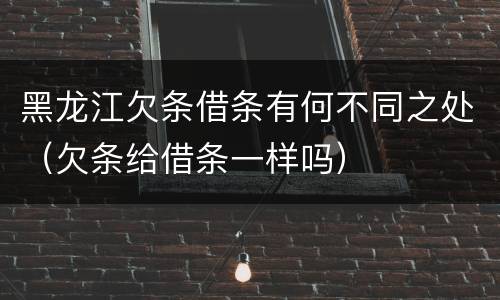 黑龙江欠条借条有何不同之处（欠条给借条一样吗）
