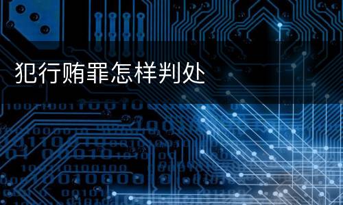 犯行贿罪怎样判处