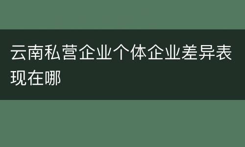 云南私营企业个体企业差异表现在哪