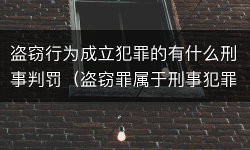 盗窃行为成立犯罪的有什么刑事判罚（盗窃罪属于刑事犯罪）