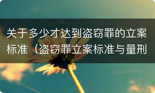 关于多少才达到盗窃罪的立案标准（盗窃罪立案标准与量刑标准）