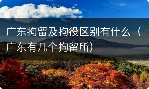 广东拘留及拘役区别有什么（广东有几个拘留所）