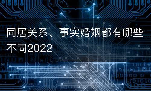 同居关系、事实婚姻都有哪些不同2022