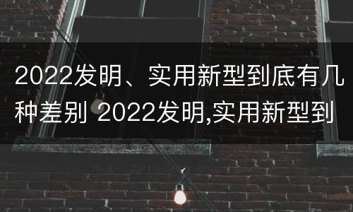 2022发明、实用新型到底有几种差别 2022发明,实用新型到底有几种差别呢