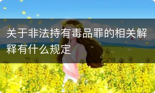 关于非法持有毒品罪的相关解释有什么规定