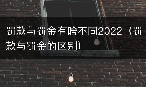 罚款与罚金有啥不同2022（罚款与罚金的区别）