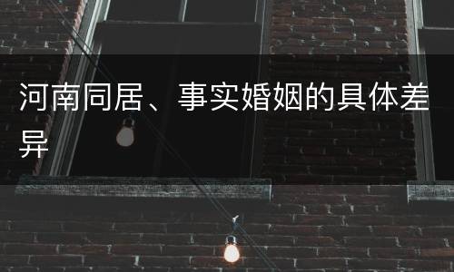 河南同居、事实婚姻的具体差异