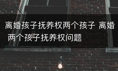 离婚孩子抚养权两个孩子 离婚 两个孩子抚养权问题