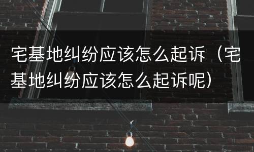 宅基地纠纷应该怎么起诉（宅基地纠纷应该怎么起诉呢）