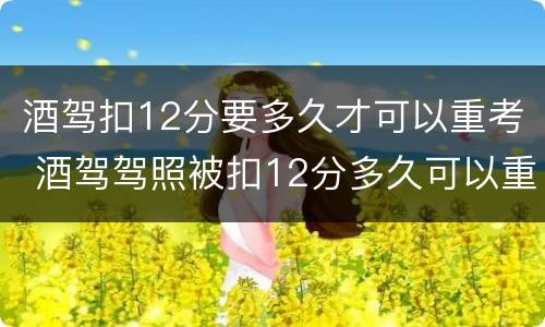 酒驾扣12分要多久才可以重考 酒驾驾照被扣12分多久可以重新考试