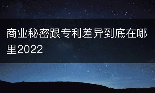 商业秘密跟专利差异到底在哪里2022