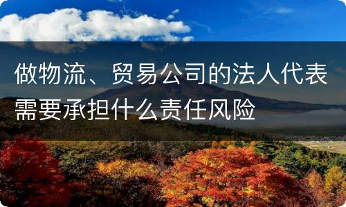 做物流、贸易公司的法人代表需要承担什么责任风险