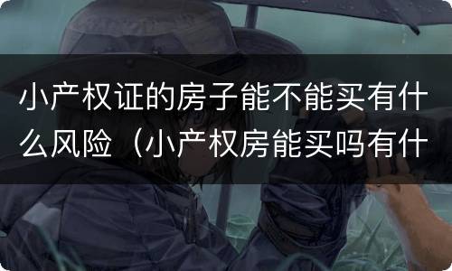 小产权证的房子能不能买有什么风险（小产权房能买吗有什么风险）