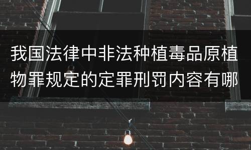 我国法律中非法种植毒品原植物罪规定的定罪刑罚内容有哪些