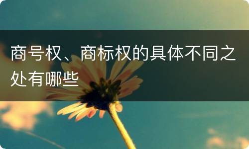 商号权、商标权的具体不同之处有哪些