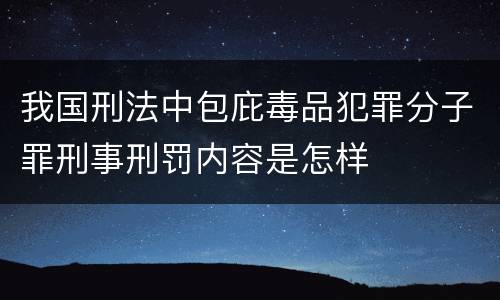 我国刑法中包庇毒品犯罪分子罪刑事刑罚内容是怎样