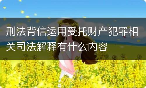 刑法背信运用受托财产犯罪相关司法解释有什么内容