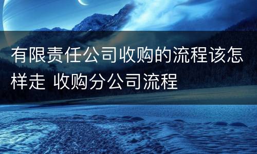 有限责任公司收购的流程该怎样走 收购分公司流程
