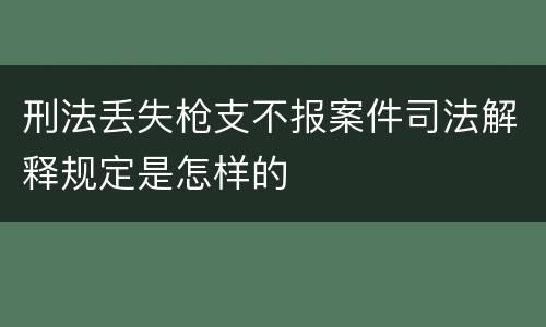 刑法丢失枪支不报案件司法解释规定是怎样的