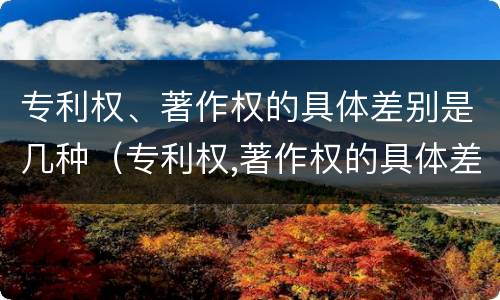 专利权、著作权的具体差别是几种（专利权,著作权的具体差别是几种情况）