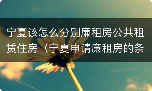 宁夏该怎么分别廉租房公共租赁住房（宁夏申请廉租房的条件）