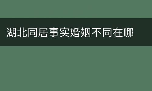 湖北同居事实婚姻不同在哪