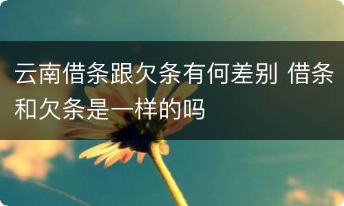 云南借条跟欠条有何差别 借条和欠条是一样的吗