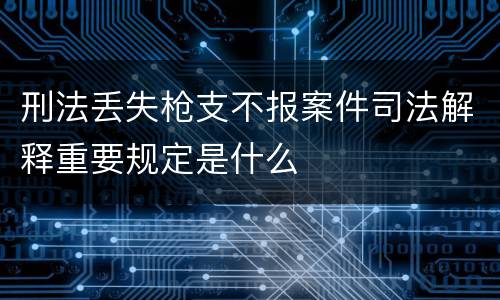 刑法丢失枪支不报案件司法解释重要规定是什么