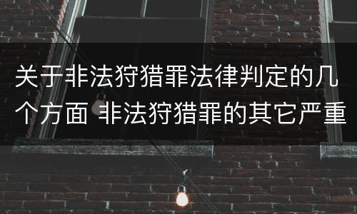 关于非法狩猎罪法律判定的几个方面 非法狩猎罪的其它严重情形有哪些