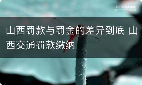 山西罚款与罚金的差异到底 山西交通罚款缴纳