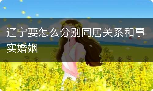 辽宁要怎么分别同居关系和事实婚姻