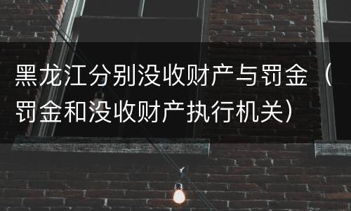 黑龙江分别没收财产与罚金（罚金和没收财产执行机关）
