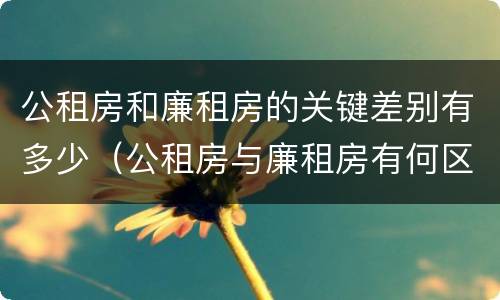 公租房和廉租房的关键差别有多少（公租房与廉租房有何区别）